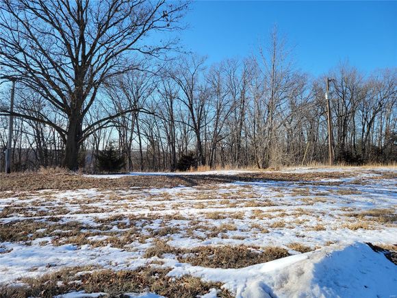 0 Hwy 156 Newark, MO Plot of land Sold - Photo 1 of 4. Opens carousel modal