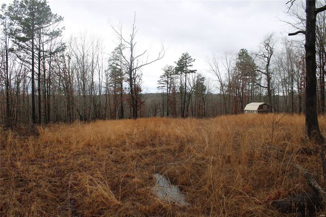 0 Cr 501 Greenville, MO Plot of land Sold - Photo 1 of 59. Opens carousel modal
