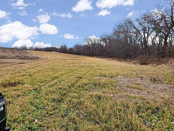 59664 Noble Avenue Edina, MO Plot of land Sold - Photo 1 of 37. Opens carousel modal