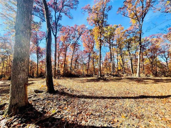 #MIS22076601 Rhineland, MO Plot of land Sold - Photo 1 of 23. Opens carousel modal