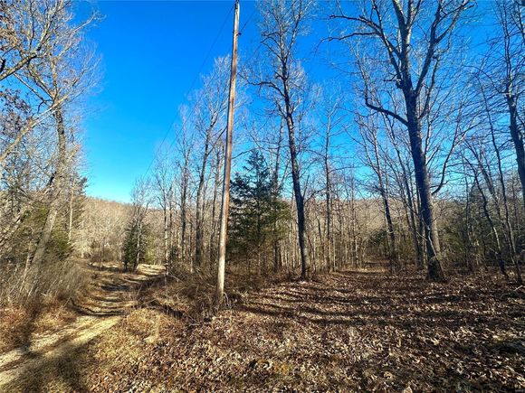 0 Maries County 518 Road Rolla, MO Plot of land Sold - Photo 1 of 32. Opens carousel modal