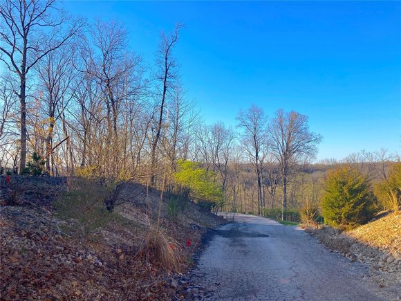 18640 Hawks Trail Drive Wildwood, MO Plot of land Sold - Photo 1 of 9. Opens carousel modal
