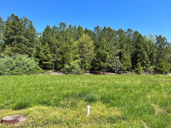 0 Olivia Marion, IL Plot of land Sold - Photo 1 of 4. Opens carousel modal