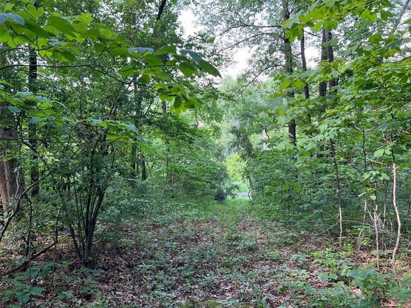 0 Sec 29 8n 3e St Elmo, IL Plot of land Sold - Photo 1 of 15. Opens carousel modal