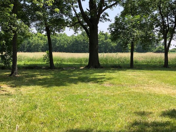 550 North Street Carlyle, IL Plot of land Sold - Photo 1 of 3. Opens carousel modal