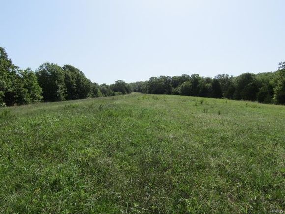 48 Highway Ff Chamois, MO Plot of land Sold - Photo 1 of 48. Opens carousel modal