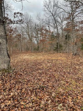 0 Cuba Road Grovespring, MO Plot of land Sold - Photo 1 of 8. Opens carousel modal