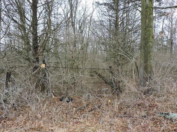 0 Rose Of Sharon Road Cutler, IL Plot of land Sold - Photo 1 of 10. Opens carousel modal