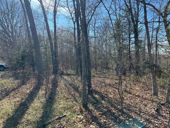 0 Highway Y Elk Creek, MO Plot of land Sold - Photo 1 of 3. Opens carousel modal