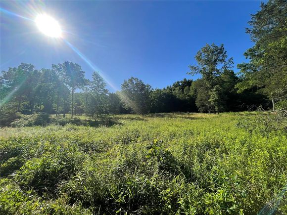 0 Bcr 506 Glen Allen, MO Plot of land Sold - Photo 1 of 7. Opens carousel modal
