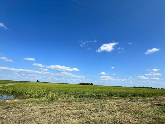 0 County Road 249 Hayti, MO Plot of land Sold - Photo 1 of 1. Opens carousel modal
