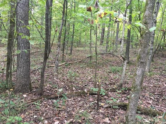 10 State Route T Richwoods, MO Plot of land Sold - Photo 1 of 6. Opens carousel modal