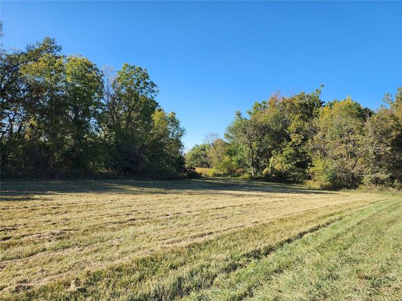 0 Audrain Road 689 (45+/ Acres) Middletown, MO Plot of land Sold - Photo 1 of 35. Opens carousel modal