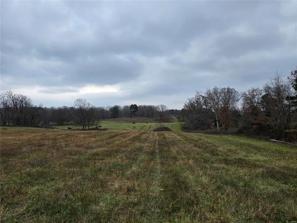 0 Mccolgin Road Raymondville, MO Plot of land Sold - Photo 1 of 15. Opens carousel modal