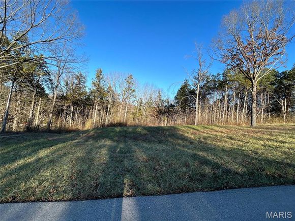 1 Lot 1 Iron Horse Trail Labadie, MO Plot of land Active - Photo 1 of 5. Opens carousel modal