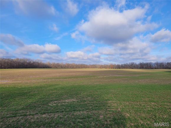 0 Bales Rd. (81.8+/ Acres) Middletown, MO Plot of land Pending - Photo 1 of 49. Opens carousel modal