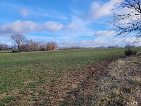 0 Bales Rd. (55.3+/ Acres) Middletown, MO Plot of land Pending - Photo 1 of 43. Opens carousel modal