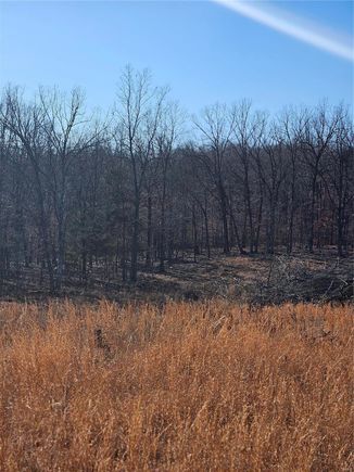 17712 Bcr 506 Glen Allen, MO Plot of land Sold - Photo 1 of 2. Opens carousel modal