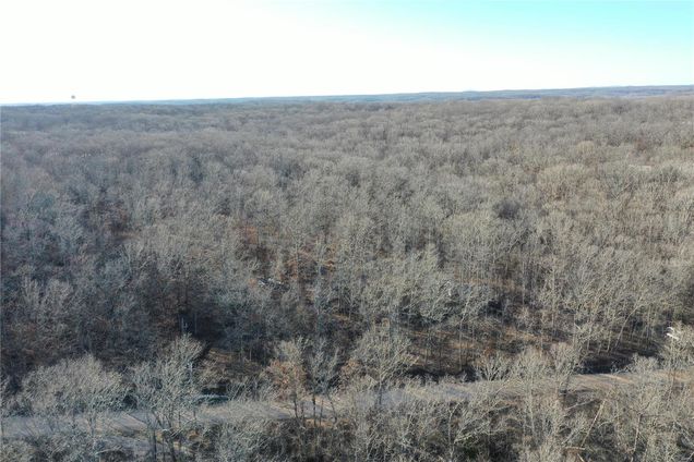 0 Runnels Drive Wappapello, MO Plot of land Sold - Photo 1 of 20. Opens carousel modal