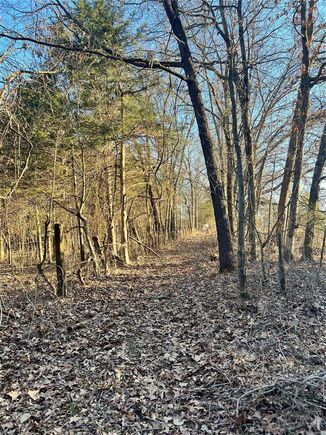 0 Hwy Dd Unincorporated, MO Plot of land Sold - Photo 1 of 19. Opens carousel modal