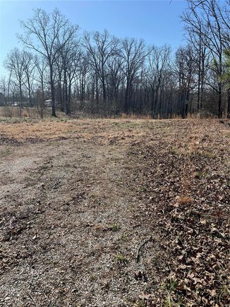 0 Girl Scout Drive Wappapello, MO Plot of land Sold - Photo 1 of 7. Opens carousel modal