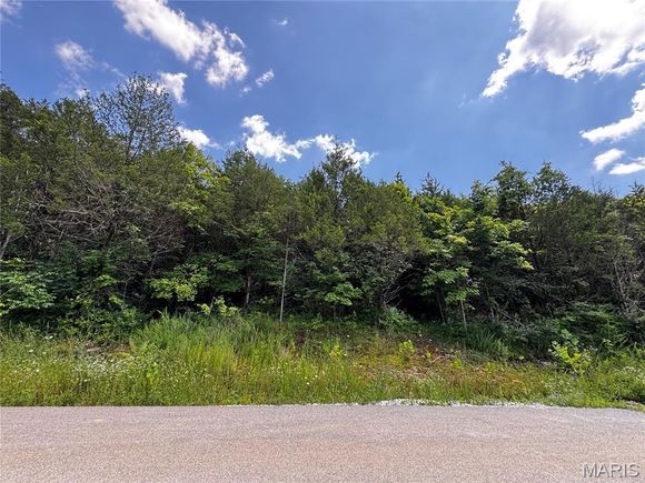 5656 Eagles Valley W House Springs, MO Plot of land Active - Photo 1 of 4. Opens carousel modal