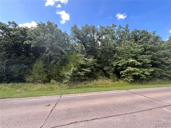 5986 Plantation Drive Hillsboro, MO Plot of land Active - Photo 1 of 12. Opens carousel modal