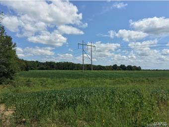County Hwy 23 Radom, IL Plot of land Sold - Photo 1 of 11. Opens carousel modal