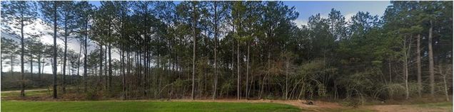 15508 Forest Grove Drive Willis, TX Plot of land Active - Photo 1 of 2. Opens carousel modal