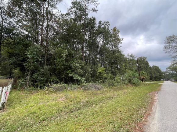 0 Grove Lane New Caney, TX Plot of land Sold - Photo 1 of 1. Opens carousel modal