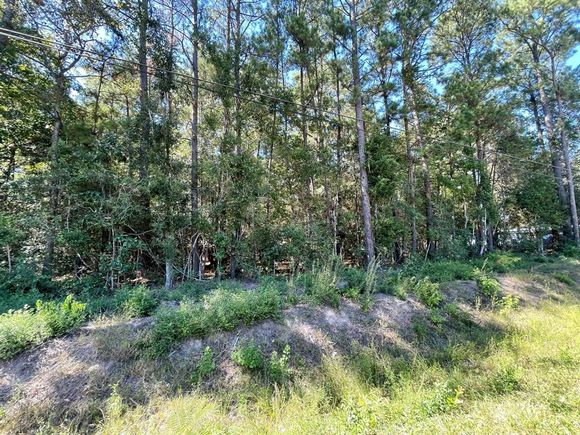 Lot 322 Woods Drive New Caney, TX Plot of land Sold - Photo 1 of 1. Opens carousel modal