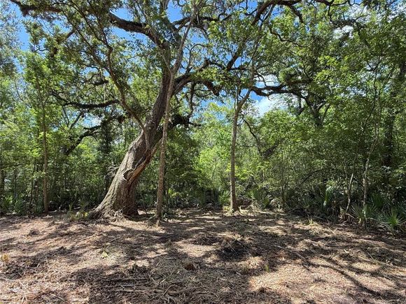 17480 County Road 945 Brazoria, TX Plot of land Active - Photo 1 of 19. Opens carousel modal