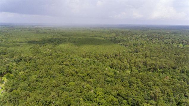 Tbd Old Beaumont Highway Silsbee, TX Plot of land Active - Photo 1 of 6. Opens carousel modal