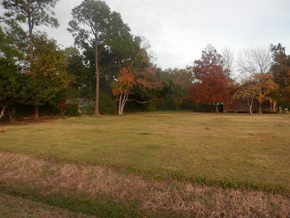 2580 E Bayshore Drive San Leon, TX Plot of land Sold - Photo 1 of 1. Opens carousel modal