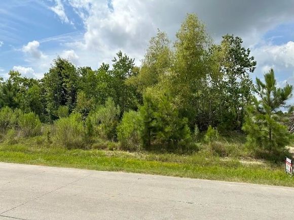 578 County Road 5021 Cleveland, TX Plot of land Active - Photo 1 of 6. Opens carousel modal