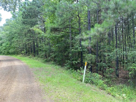 000 Lou Circle Bronson, TX Plot of land Sold - Photo 1 of 1. Opens carousel modal