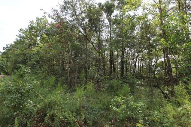 0 Baltic Drive Humble, TX Land Sold - Photo 1 of 1. Opens carousel modal