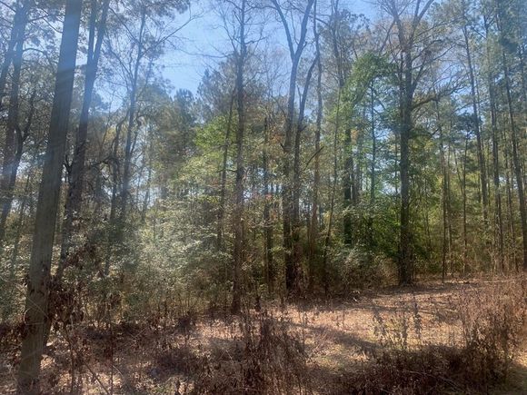 0 Canoot Trail Livingston, TX Plot of land Sold - Photo 1 of 1. Opens carousel modal