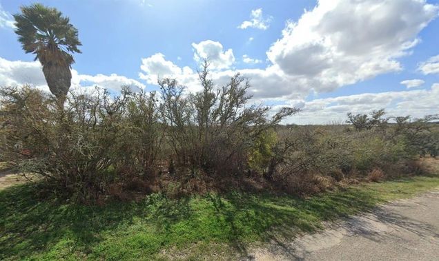 164 Blackhawk Drive Sandia, TX Plot of land Sold - Photo 1 of 1. Opens carousel modal