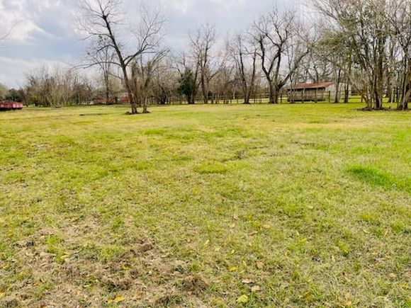 1008 Brooks Avenue Rosenberg, TX Plot of land Sold - Photo 1 of 1. Opens carousel modal