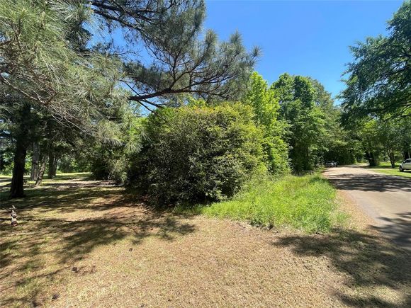 0000 County Road 149 Centerville, TX Plot of land Sold - Photo 1 of 1. Opens carousel modal