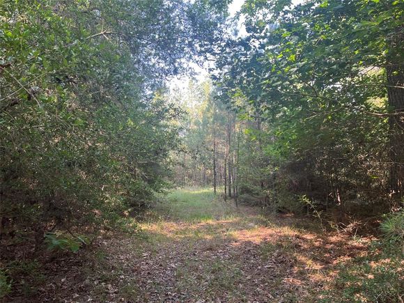 Parcel 15873 Fm 705 Broaddus, TX Plot of land Sold - Photo 1 of 1. Opens carousel modal