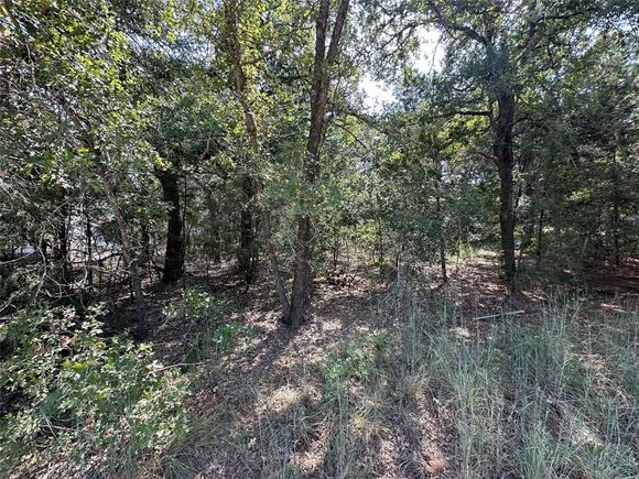 109 Chippewa Trail Smithville, TX Plot of land Sold - Photo 1 of 1. Opens carousel modal
