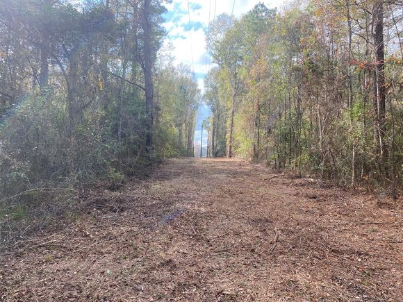0 Fm 1277 San Augustine, TX Plot of land Sold - Photo 1 of 1. Opens carousel modal