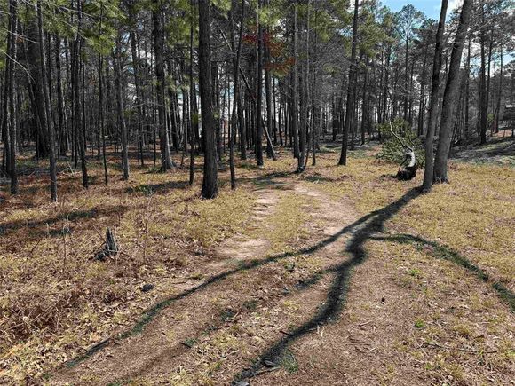 013 Private Road 6028 Brookeland, TX Plot of land Active - Photo 1 of 11. Opens carousel modal