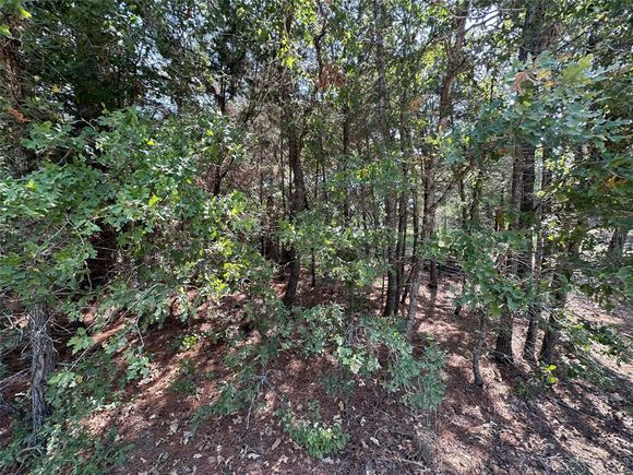 111 Chippewa Trail Smithville, TX Plot of land Sold - Photo 1 of 1. Opens carousel modal