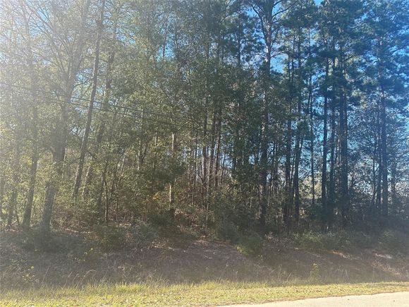 Tbd Woods Drive New Caney, TX Plot of land Sold - Photo 1 of 1. Opens carousel modal