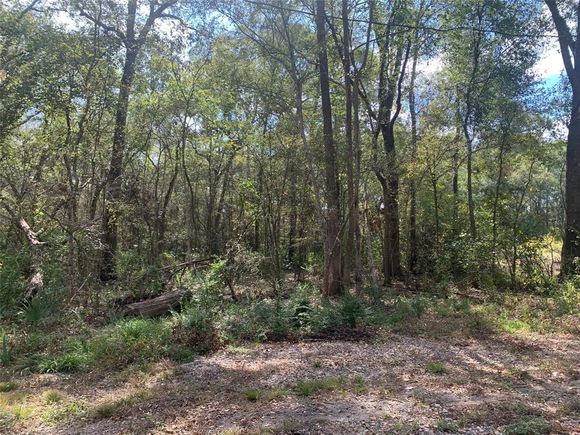 22234 Spring New Caney, TX Plot of land Sold - Photo 1 of 1. Opens carousel modal