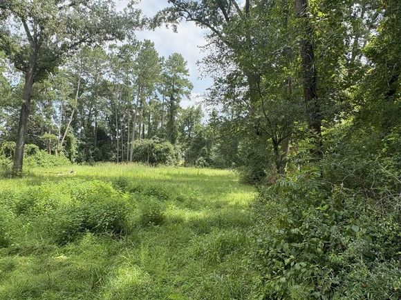 000 County Road 2286 Cleveland, TX Plot of land Active - Photo 1 of 11. Opens carousel modal