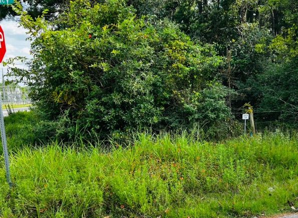 23717 Pinewood Valley Drive Hockley, TX Plot of land Active - Photo 1 of 10. Opens carousel modal